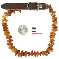 Hundehalsband als natürlicher Zeckenschutz, Bernstein natur 35-40 schwarz