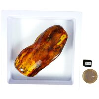 Schmeichelstein, Bernstein, handverlesene Top-Qualität inkl. Schweberahmen