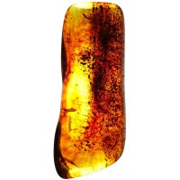 Schmeichelstein, Bernstein, handverlesene...