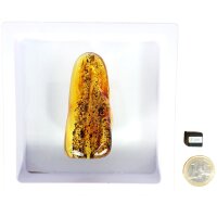 Schmeichelstein, Bernstein, handverlesene Top-Qualität inkl. Schweberahmen