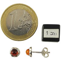 Stecker, Bernstein, ES
