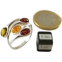 Ring, Bernstein, ES