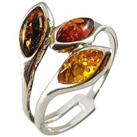 Ring, Bernstein, ES