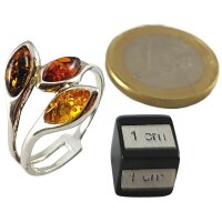 Ring, Bernstein, ES